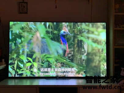 tcl65v2pro和v2哪个好呢,有哪些区别如何选择! tcl65v2pro和v2哪个好呢,有哪些区别如何选择!