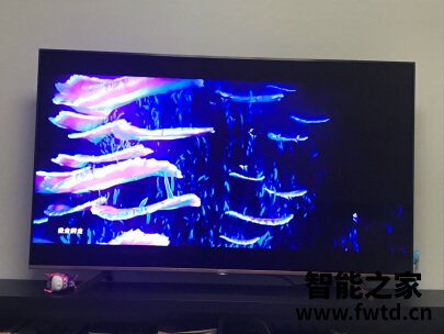 TCL65V2-PRO怎么样质量差还是好?反馈大揭秘 TCL65V2-PRO怎么样质量差还是好?反馈大揭秘