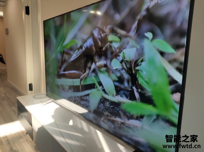 老司机告诉你荣耀lok-350与osca-550哪款更好？图文爆料分析