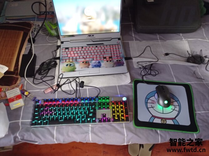 人气博主爆料惠普gk520怎么样？评测质量好吗
