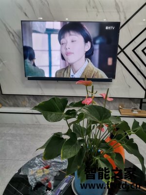 老实说TCL 65Q10怎么样?千万不要被忽悠了!后悔死了? 老实说TCL 65Q10怎么样?千万不要被忽悠了!后悔死了?