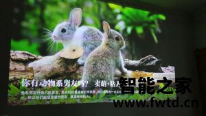 「真相感受」峰米 激光电视4K Cinema Pro怎么样评分高不高?彻底后悔了? 「真相感受」峰米 激光电视4K Cinema Pro怎么样评分高不高?彻底后悔了?