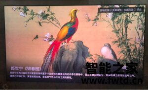 吐槽缺点海信88L5V怎么样?使用三个月彻底后悔了, 吐槽缺点海信88L5V怎么样?使用三个月彻底后悔了,