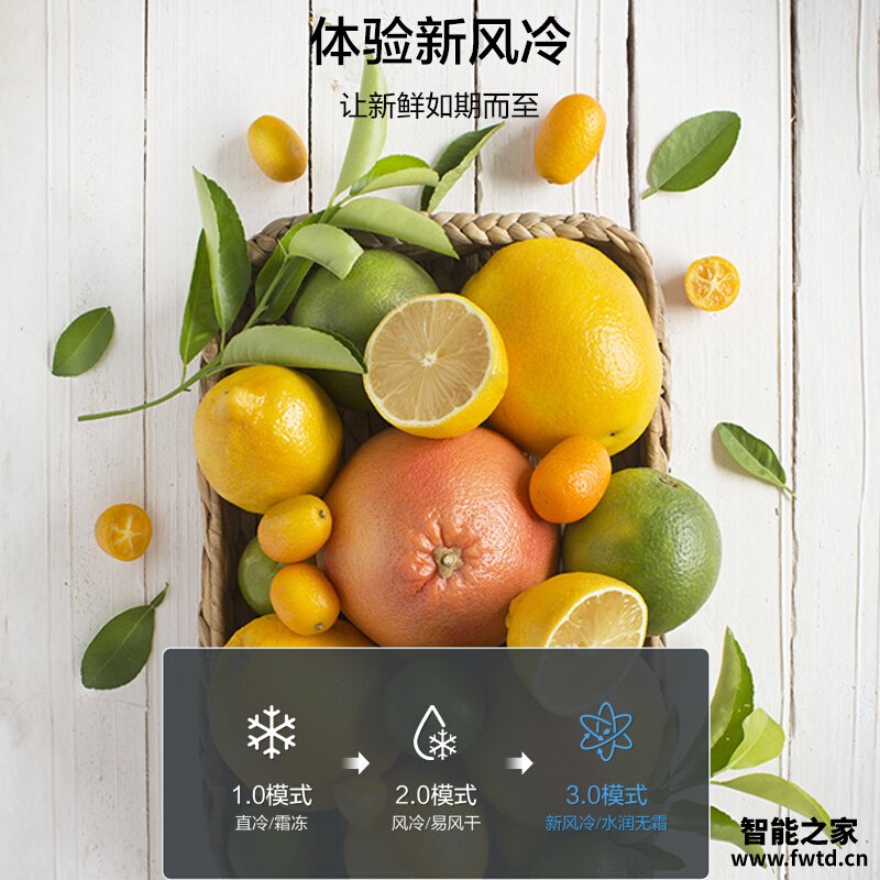 「实情必读」美的BCD-215WTPM(E)冰箱怎么样评测质量值得买吗？