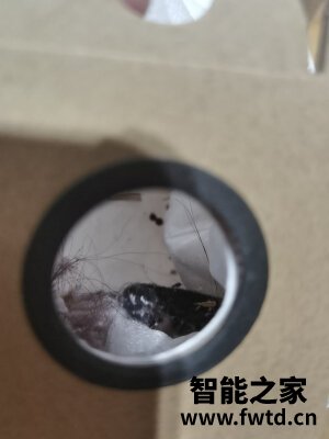 测评云米391自动集尘扫地机器人怎么样?千万不要被忽悠了!后悔死了?