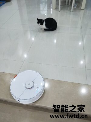 综合反馈石头扫地机器人T7如何怎么样?很多人被骗了?是不是真的? 综合反馈石头扫地机器人T7如何怎么样?很多人被骗了?是不是真的?