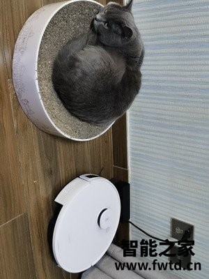 真实体验:扫地机器人海尔S50U1评测怎么样真的后悔吗,真实感受 真实体验:扫地机器人海尔S50U1评测怎么样真的后悔吗,真实感受