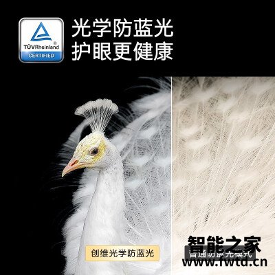 「网友评价」创维65a11和雷鸟65s535c哪个好?深度剖析功能区别 「网友评价」创维65a11和雷鸟65s535c哪个好?深度剖析功能区别