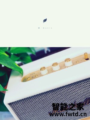 真实的测评马歇尔ACTON II BLUETOOTH怎么样?千万不要被忽悠了!
