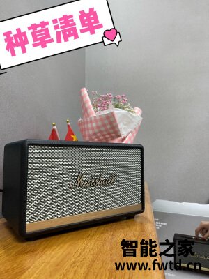 真实的测评马歇尔ACTON II BLUETOOTH怎么样?千万不要被忽悠了!