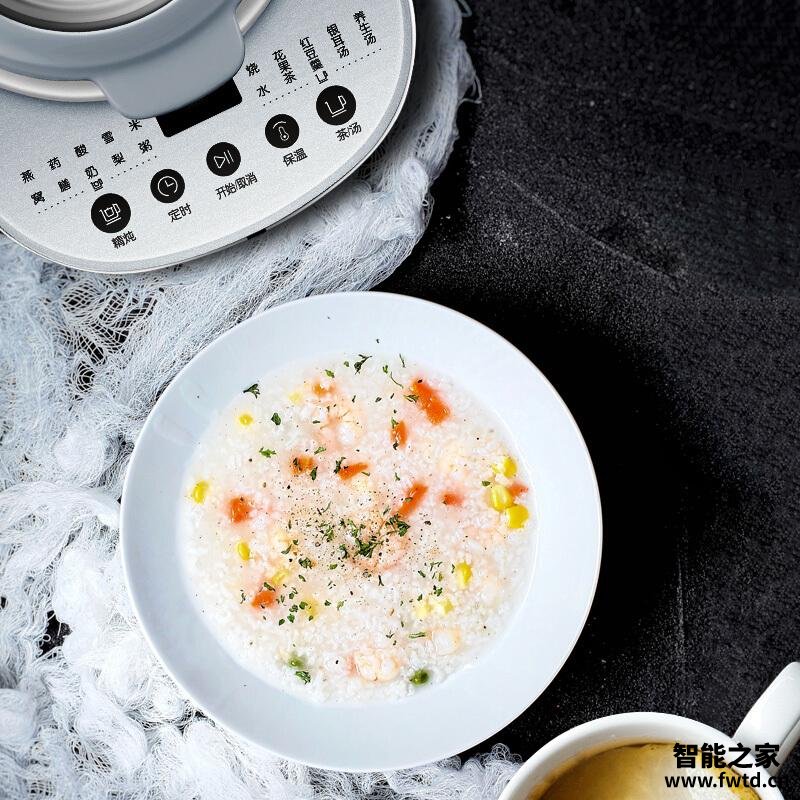 「求助」苏泊尔15yj08b和15yt08a区别比较 哪款好？这样选不盲目