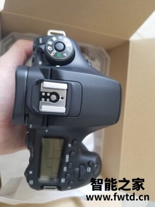 「曝血泪史」佳能EOS 90D单反相机质量怎么样?用后三天后悔了?