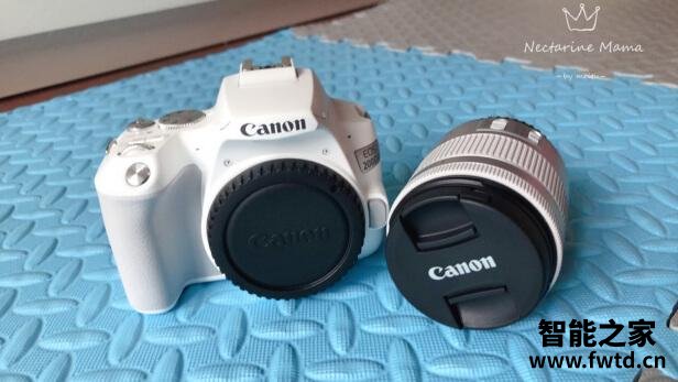 分享佳能EOS  200D II使用反馈感受？吐槽售后很烂？